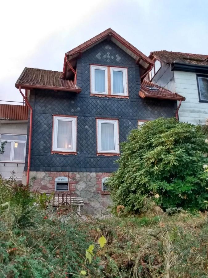 Vakantiehuis Julia Vila Bad Sachsa Exterior foto